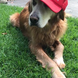 Meet your Posher, Holden